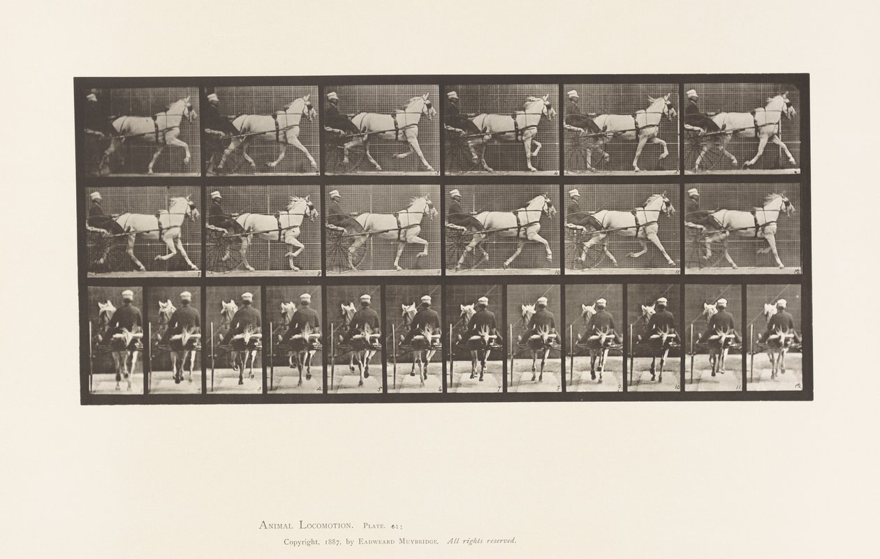 Talíř 611. Klusání; Sulky; Grey Mare, Katydid od Eadweard Muybridge
