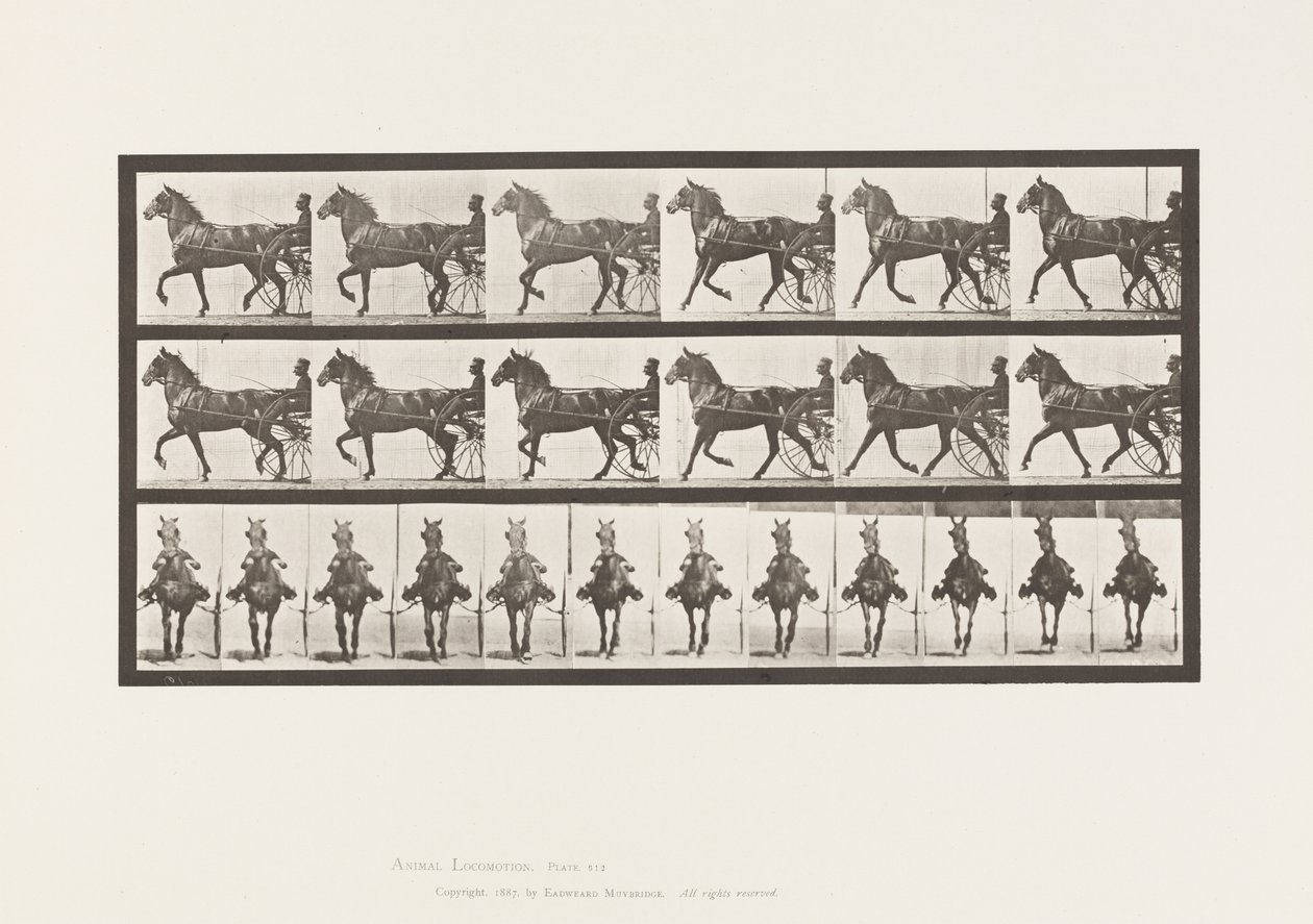 Talíř 612. Klusání; Sulky; Bay Horse, Dereumd od Eadweard Muybridge