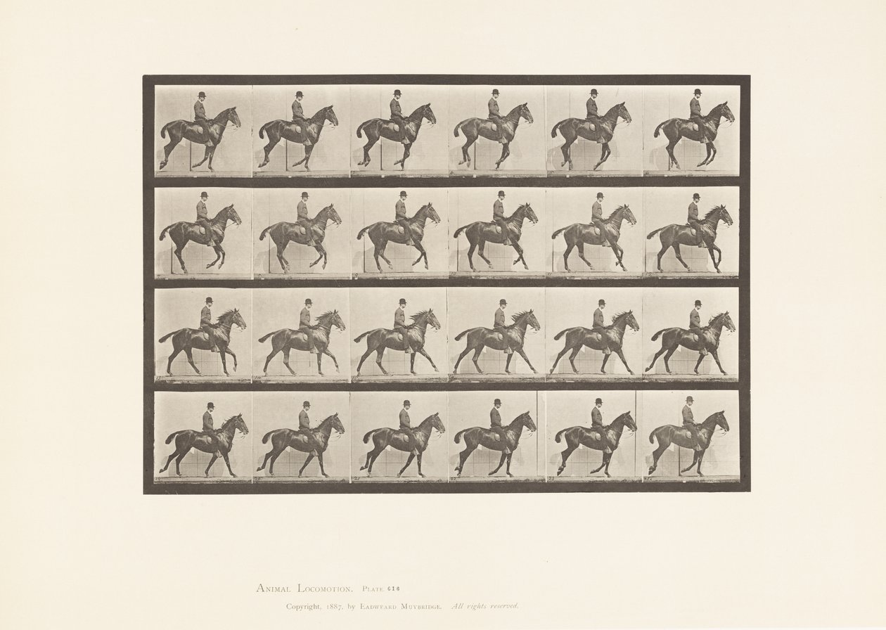 Talíř 616. Canter; Sedlo; Bay Horse Daisy od Eadweard Muybridge