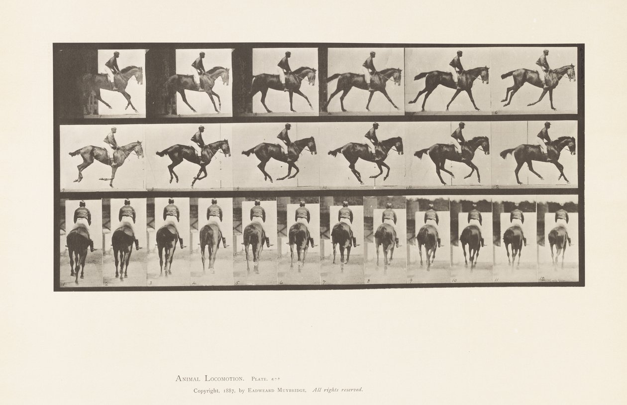 Talíř 620. Canter; Sedlo; Plnokrevná Bay Mare Annie 6. od Eadweard Muybridge