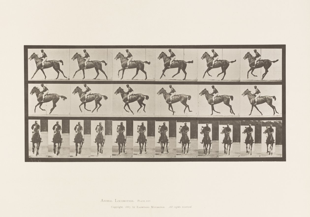 Talíř 621. Canter; Sedlo; Plnokrevná Bay Mare Annie 6 od Eadweard Muybridge