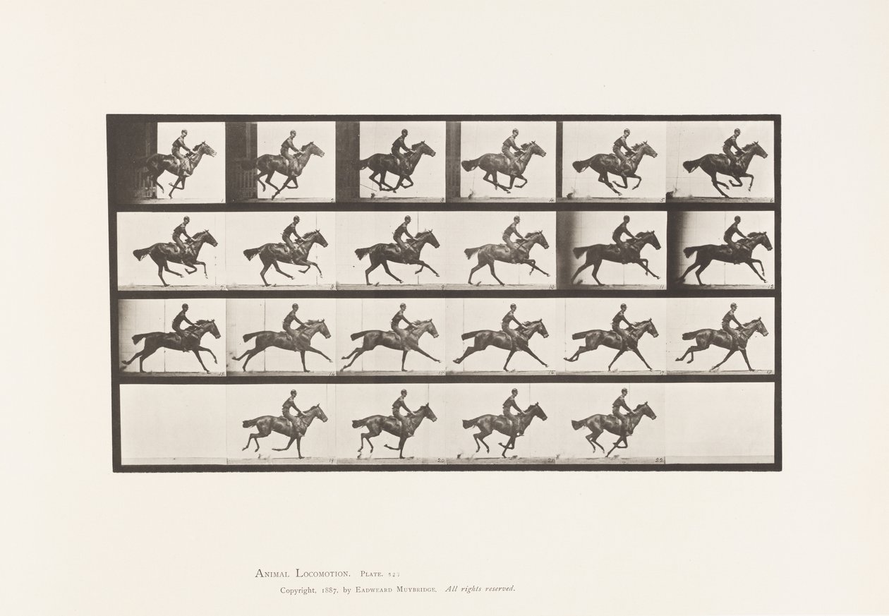 Talíř 625. Cval; Kytice plnokrevného hnědáka od Eadweard Muybridge