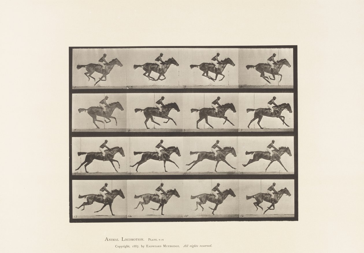 Talíř 626. Cval; Plnokrevná Bay Mare Annie G. od Eadweard Muybridge
