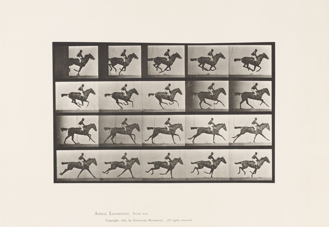 Talíř 627. Cval; Plnokrevná Bay Mare Annie G. od Eadweard Muybridge
