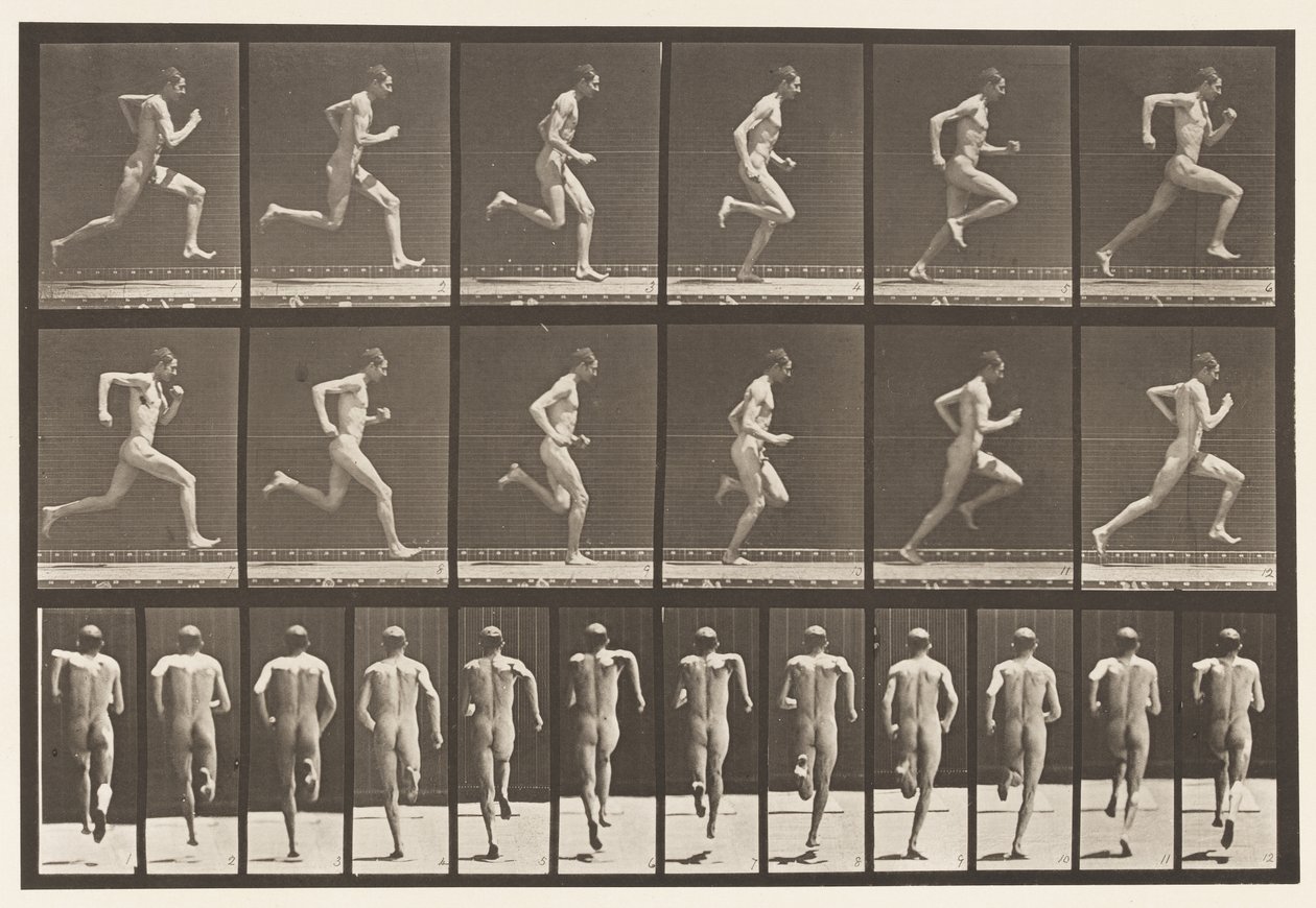Talíř 62. Běží plnou rychlostí., 1872-1885 od Eadweard Muybridge