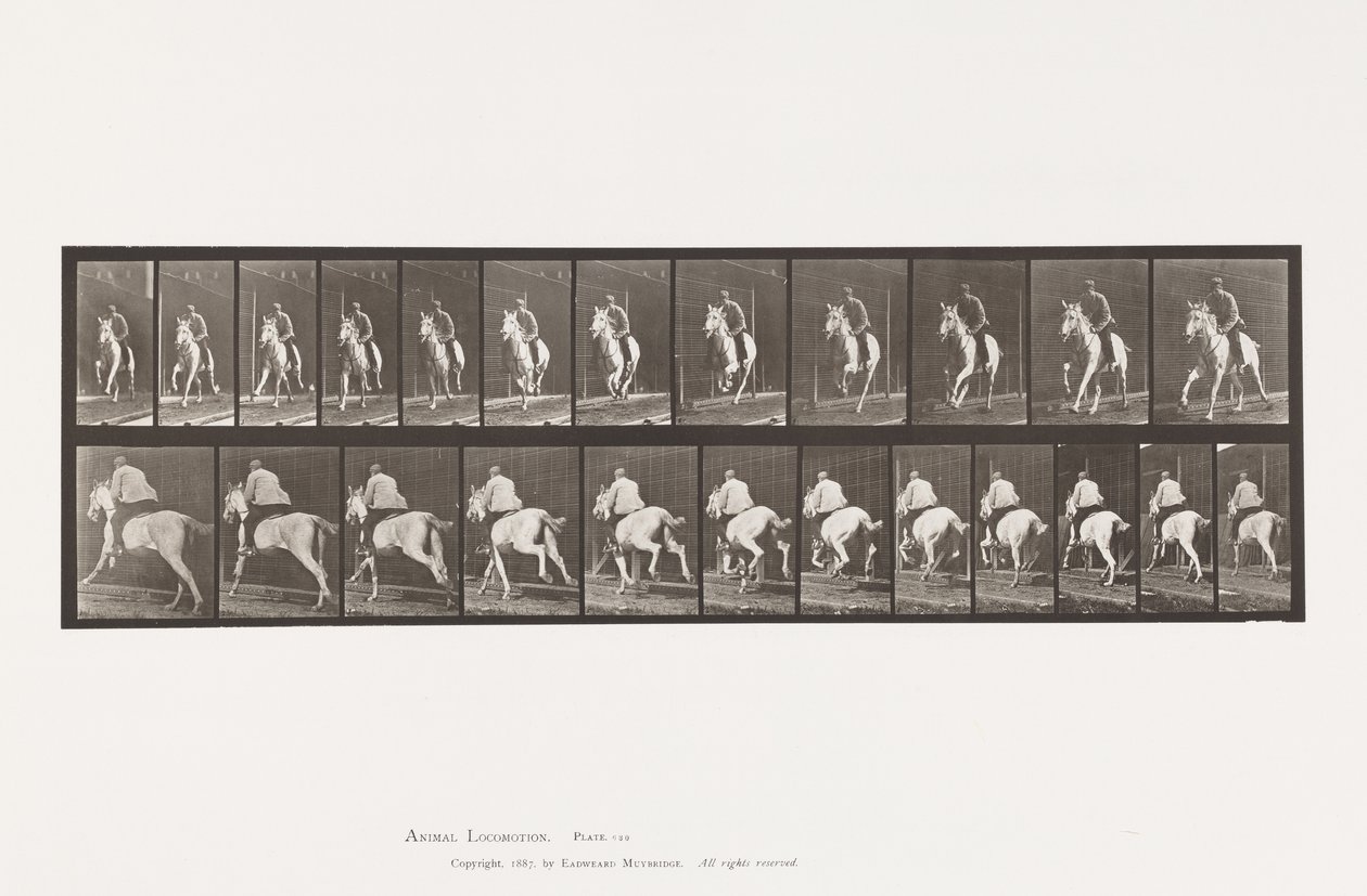 Talíř 630. Cval; Sedlo; Grey Mare Pandora od Eadweard Muybridge