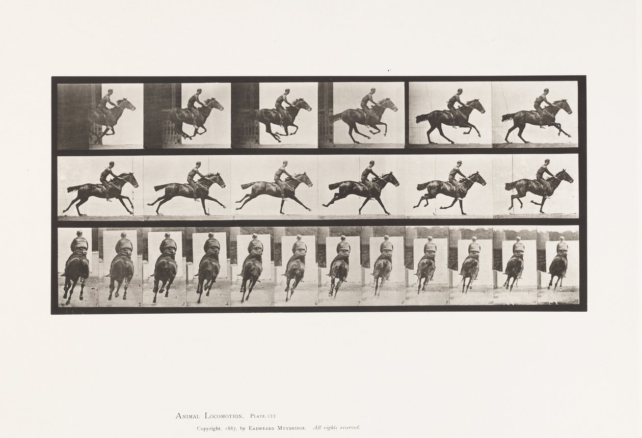 Talíř 633. Cval; Sedlo; Kytice plnokrevného hnědáka od Eadweard Muybridge