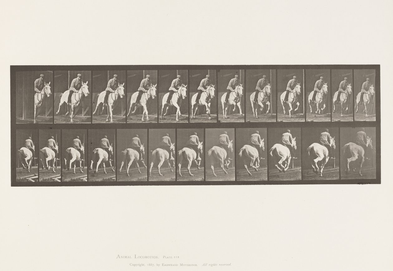 Talíř 635. Cval; Sedlo; Grey Mare, Pandora od Eadweard Muybridge