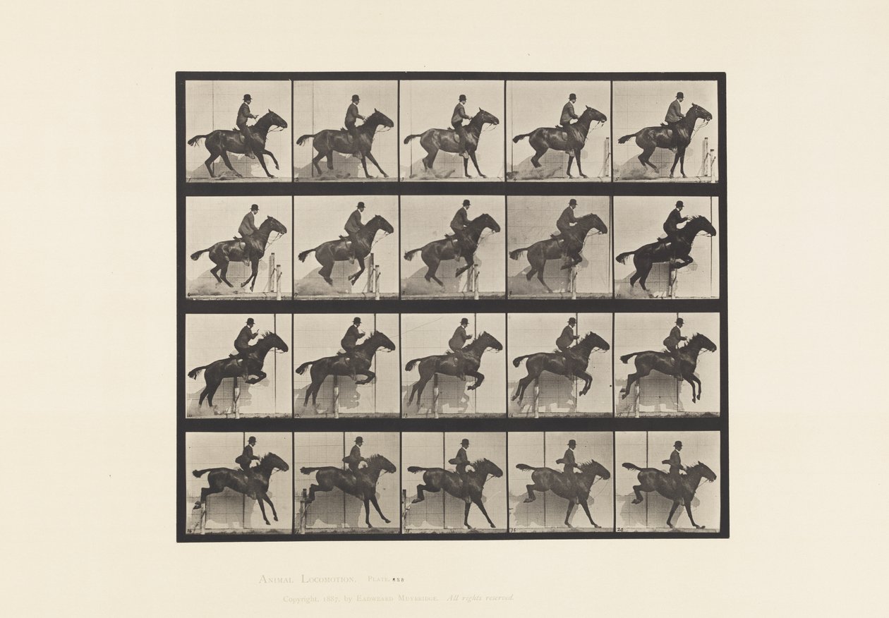 Talíř 638. Skok přes překážku; Sedlo; Bay Horse Daisy od Eadweard Muybridge