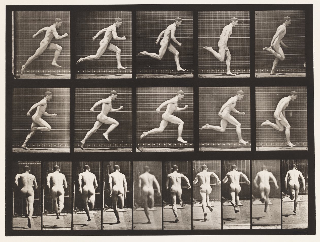 Talíř 63. Běží plnou rychlostí. od Eadweard Muybridge