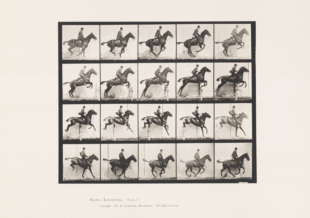 Talíř 640. Skok přes překážku; Sedlo; Bay Horse Daisy od Eadweard Muybridge