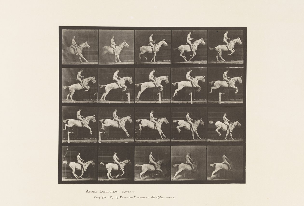 Talíř 642. Skok přes překážku; Sedlo; Jezdec, 105, nahý; Grey Mare, 1885 od Eadweard Muybridge