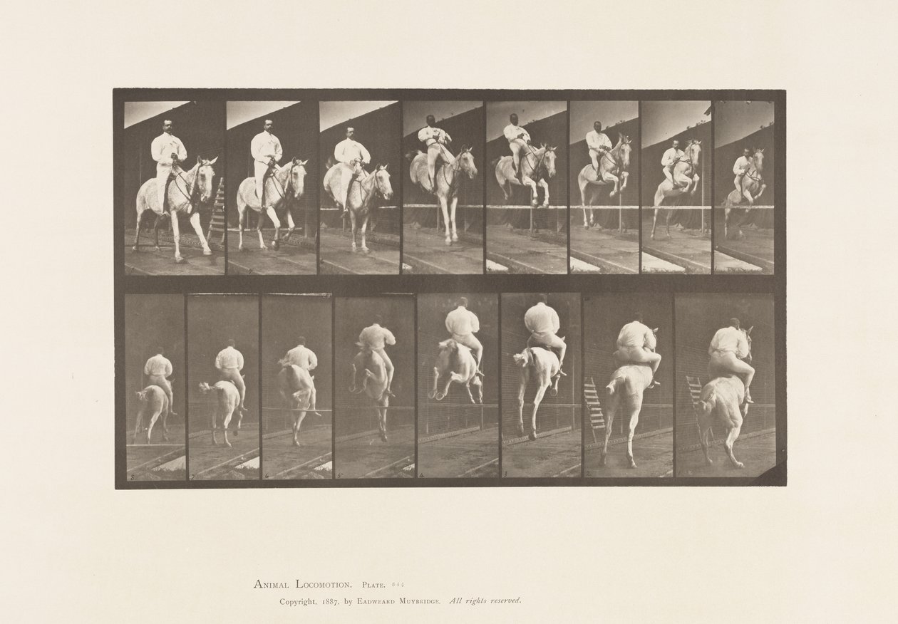 Talíř 644. Skok přes překážku; Sedlo; Vyčištění a přistání od Eadweard Muybridge