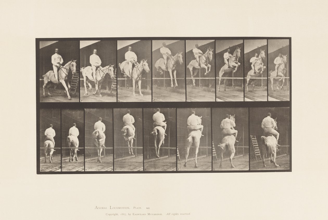 Talíř 645.Jumping a Hurdle; Sedlo; Vyčištění a přistání od Eadweard Muybridge