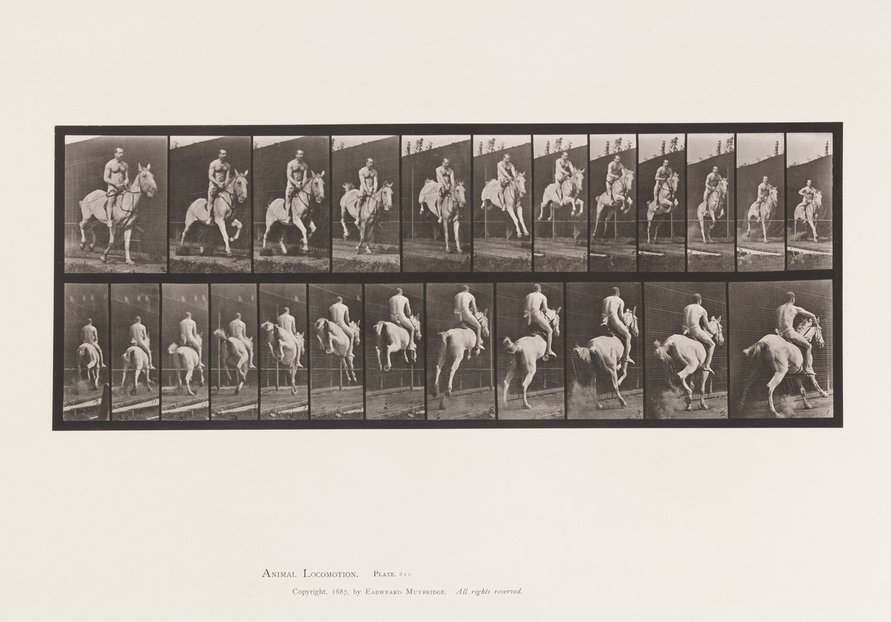 Talíř 646.Jumping a Hurdle; Sedlo; Jezdec, 105, nahý;, 1885 od Eadweard Muybridge
