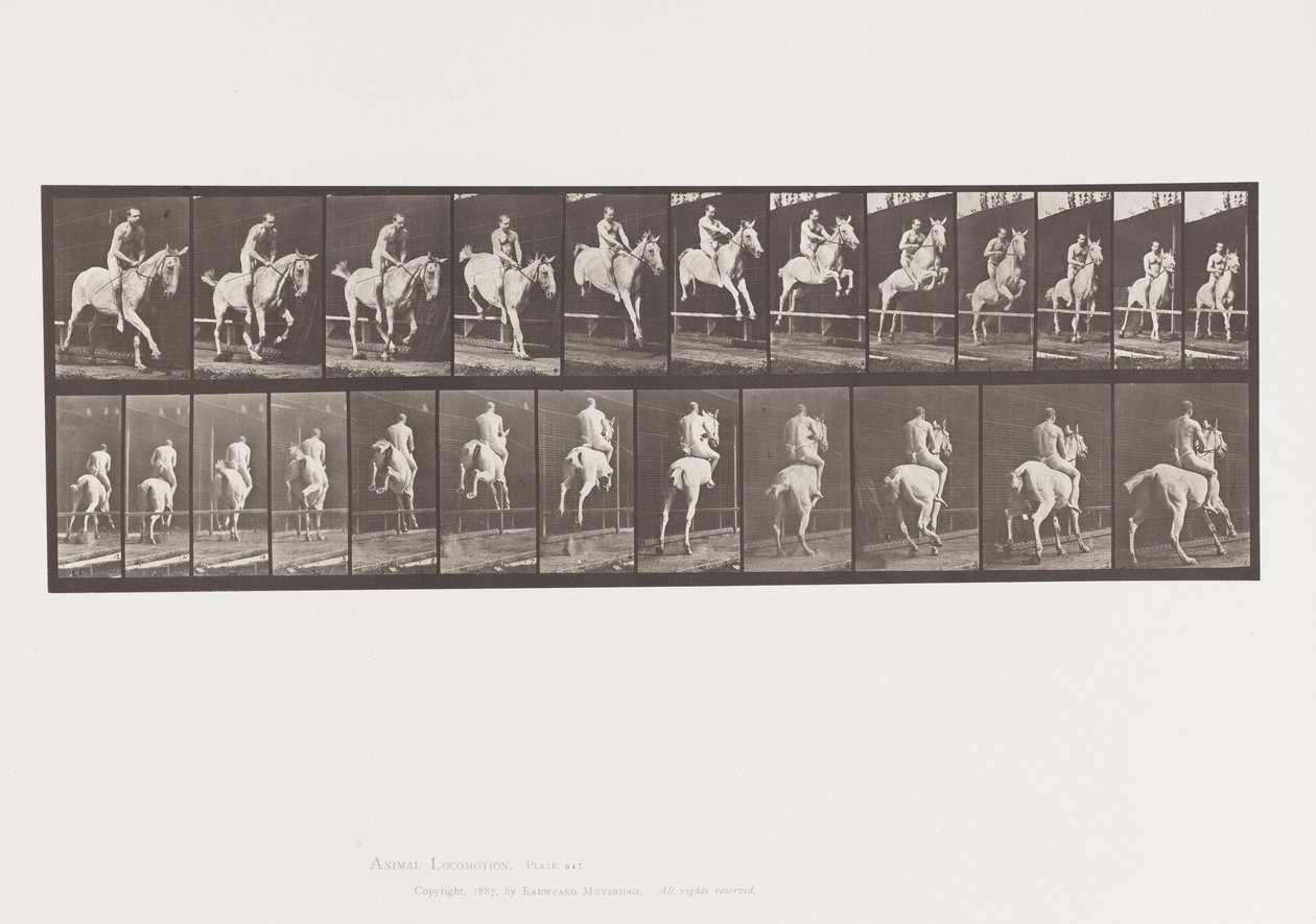Talíř 647. Skok přes překážku; Bez sedla; Jezdec od Eadweard Muybridge