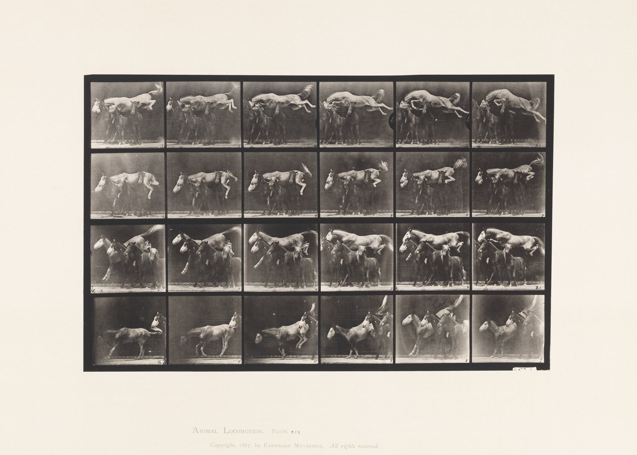 Talíř 648. Skákání přes tři koně; A,B; Sršeň kaštanový od Eadweard Muybridge