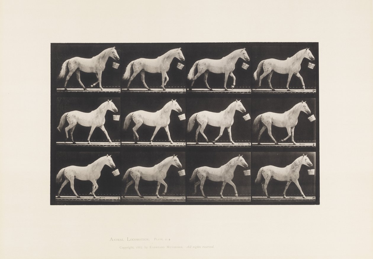 Talíř 650. Chůze s vědrem v ústech; Světle šedý kůň od Eadweard Muybridge