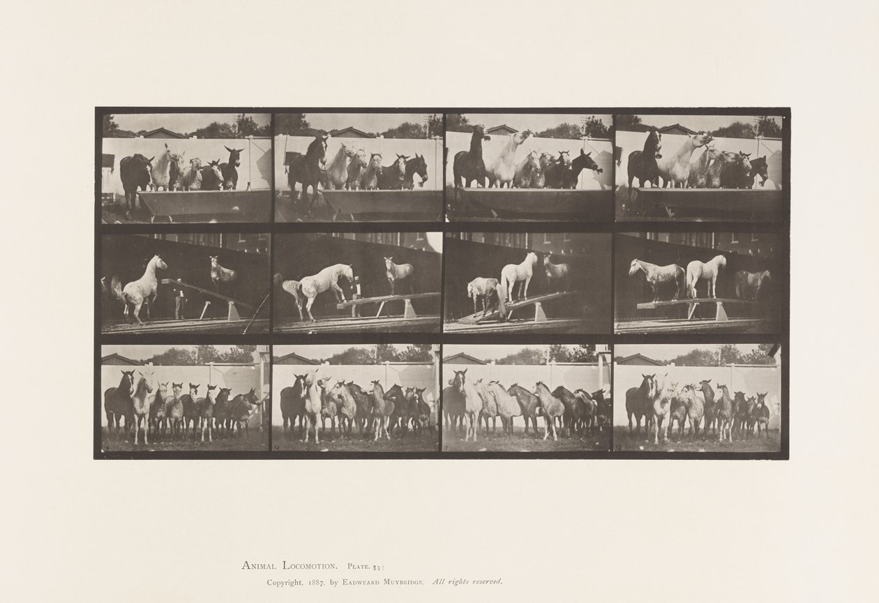 Talíř 651.A, Zvonění zvonu; B, Teeter Board; C, Vojenské cvičení od Eadweard Muybridge