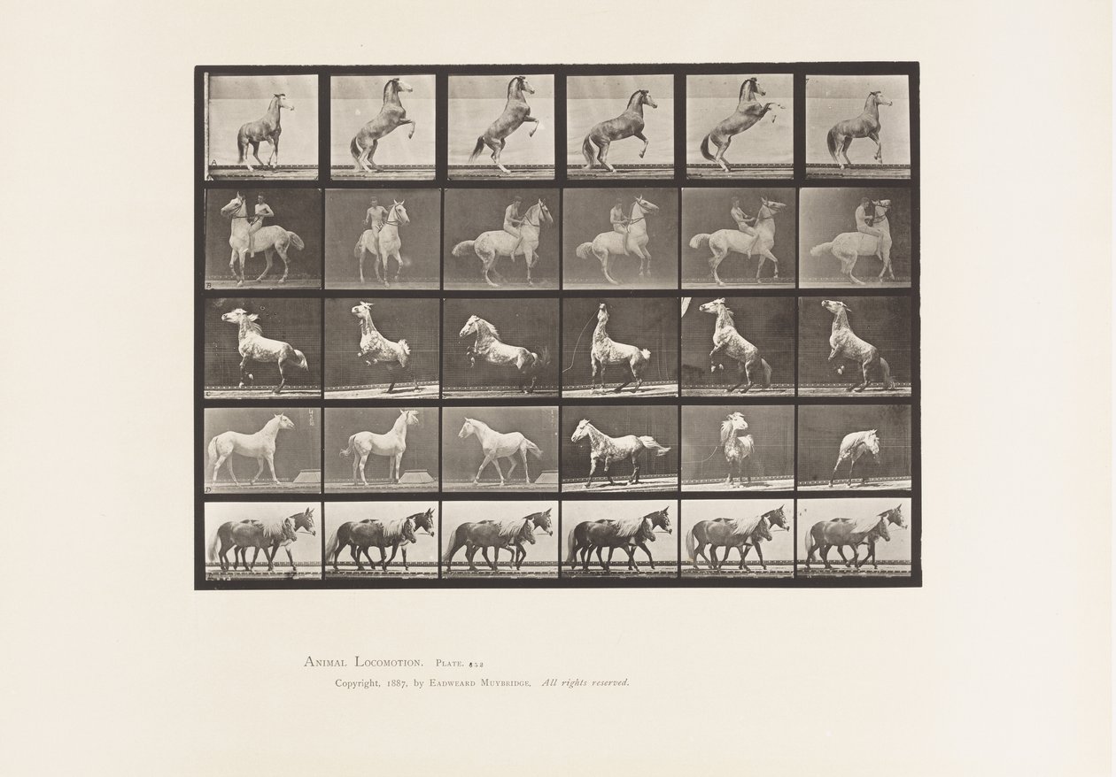 Talíř 652. A, B, C, D, E, Chov koní atd. od Eadweard Muybridge