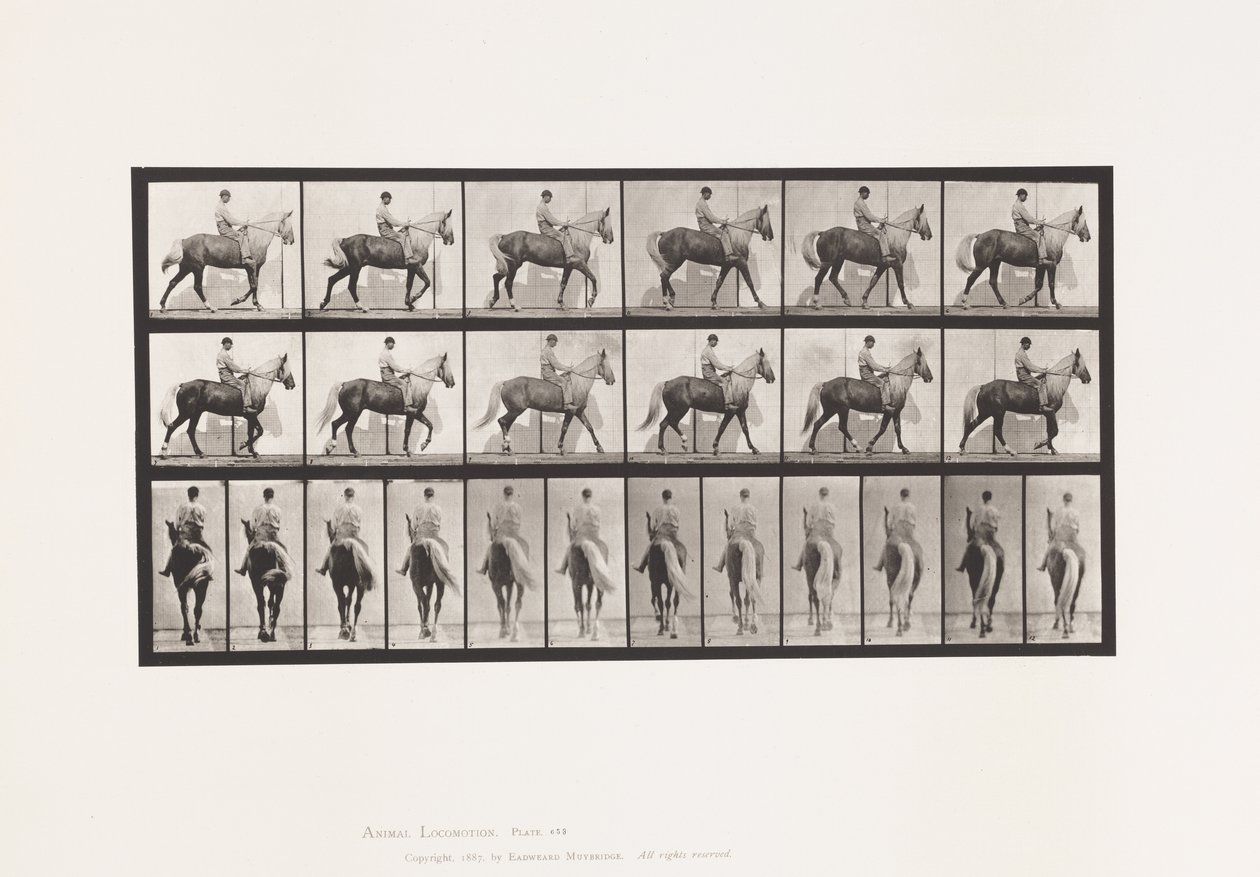 Talíř 653. Chůze; Sedlo; Kulhavý, pravá přední noha; Koňská kůže od Eadweard Muybridge
