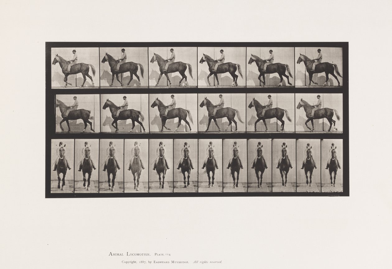 Talíř 654. Chůze; Sedlo; Kulhavý, pravá přední noha; Koňská kůže od Eadweard Muybridge