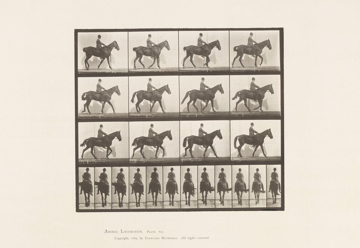 Talíř 655. Chůze; Sedlo; Spavin, pravá zadní noha; Kůň od Eadweard Muybridge