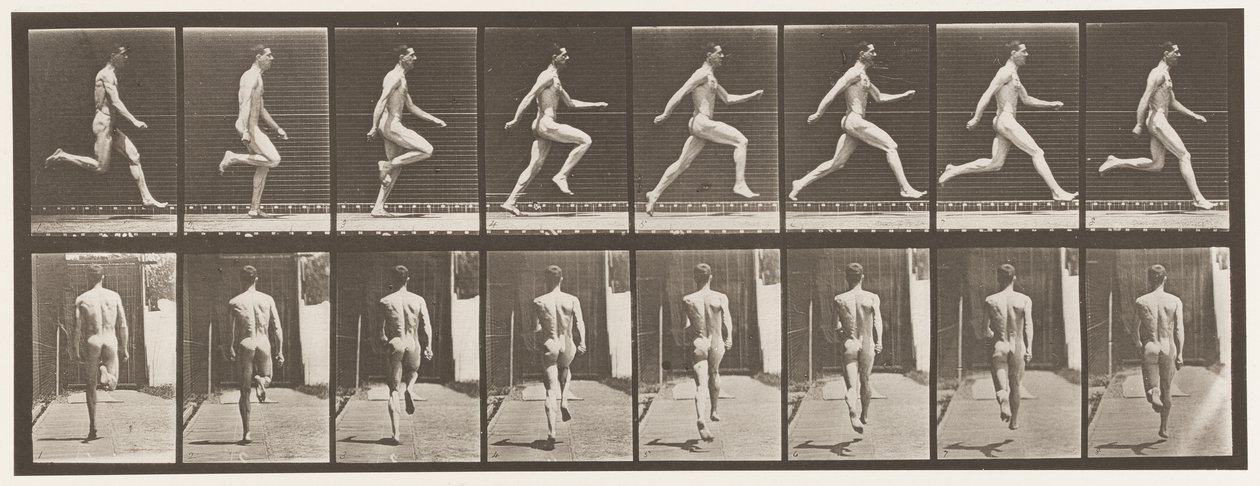 Talíř 65. Běží plnou rychlostí., 1872-1885 od Eadweard Muybridge