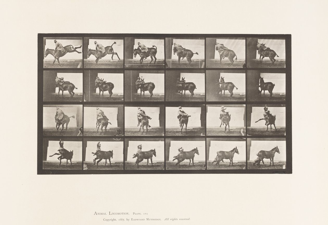 Deska 661. Mezek; A, B, A Žáruvzdorné zvíře Ruth od Eadweard Muybridge