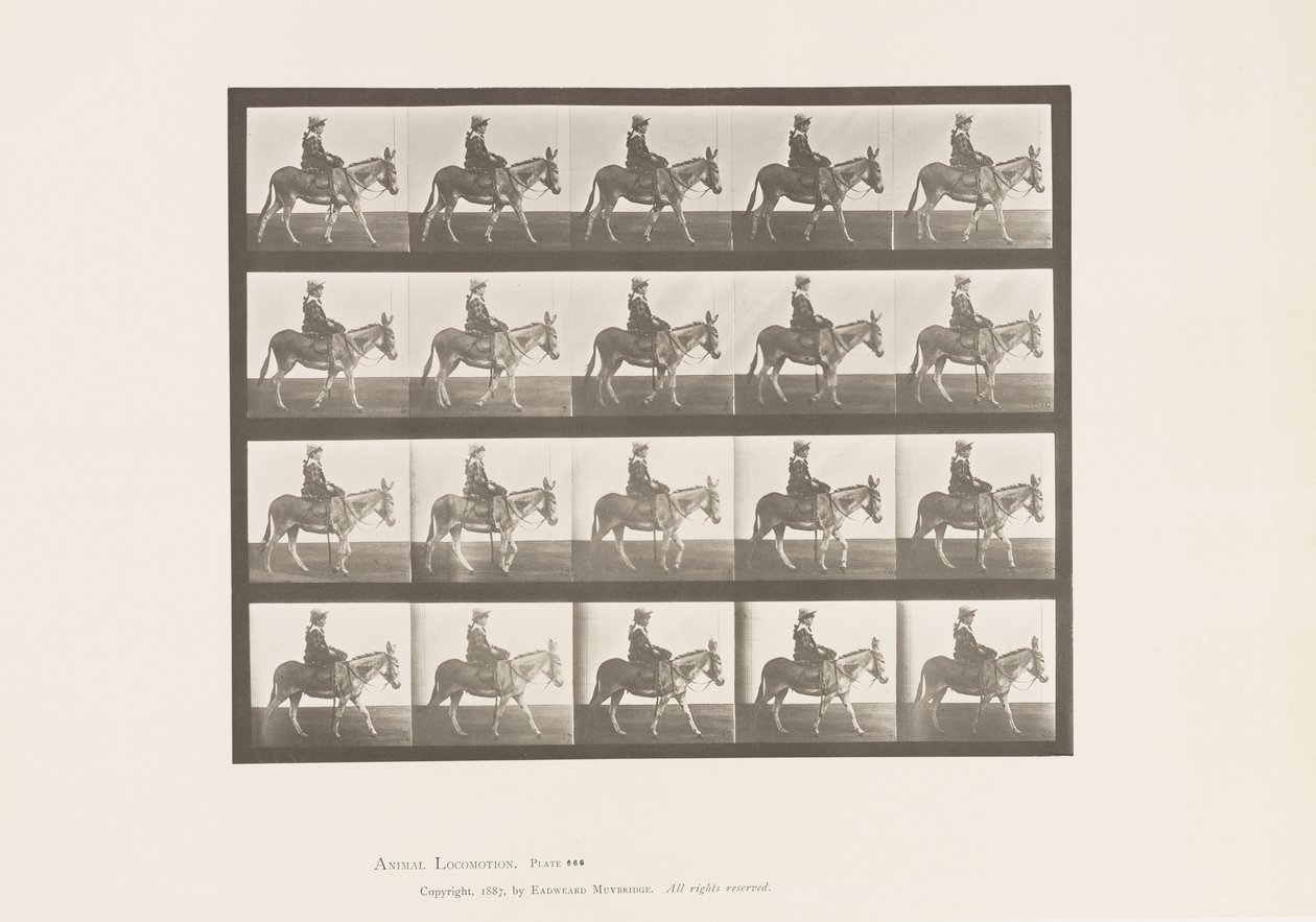 Talíř 666. Zadek; Chůze; Sedlo; Dívka na koni, Zoo od Eadweard Muybridge