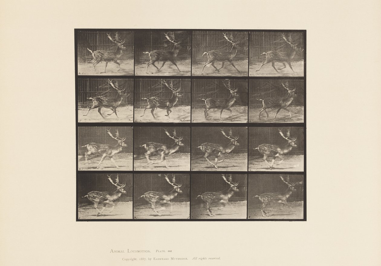 Talíř 682. Úhor; Dolar; A, klusání; B, Cval od Eadweard Muybridge