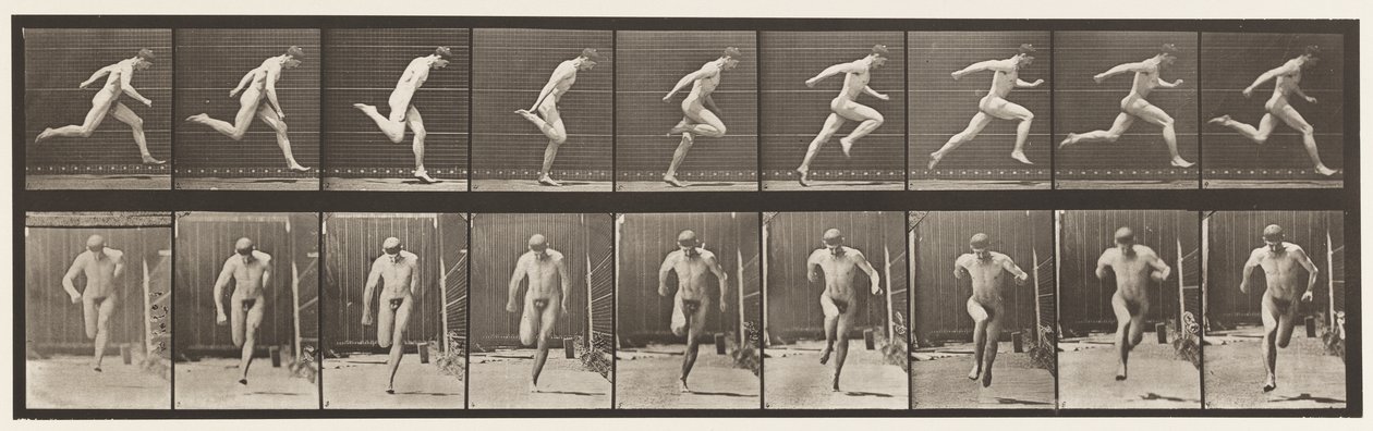 Deska 68. Běh, 1872-1885 od Eadweard Muybridge