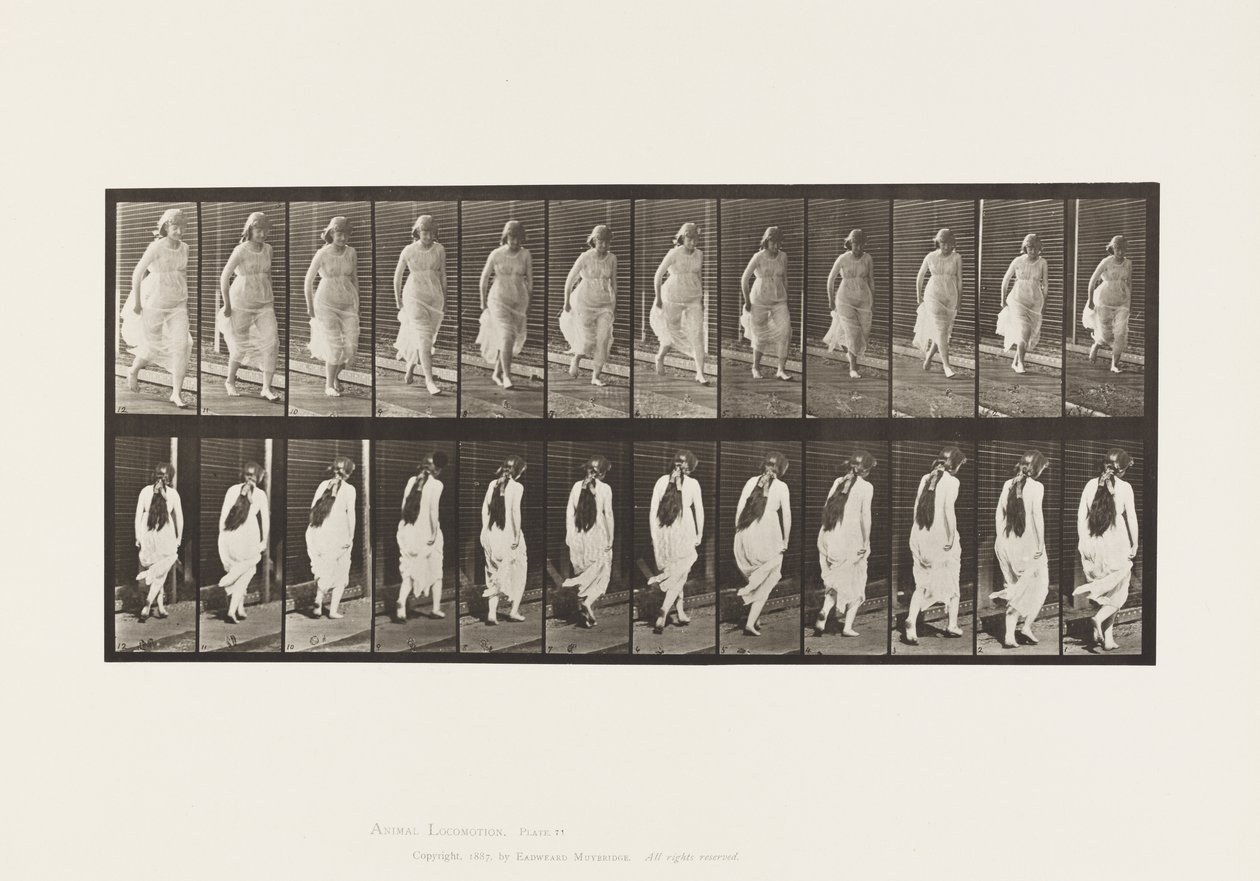 Deska 71.Běh, 1885 od Eadweard Muybridge