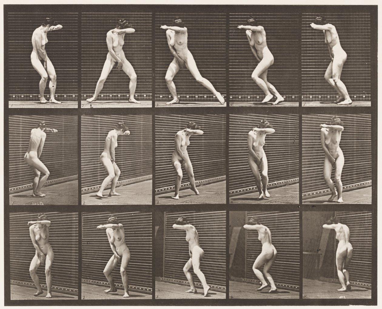 Deska 73. Překvapení a útěk, 1872-1885 od Eadweard Muybridge