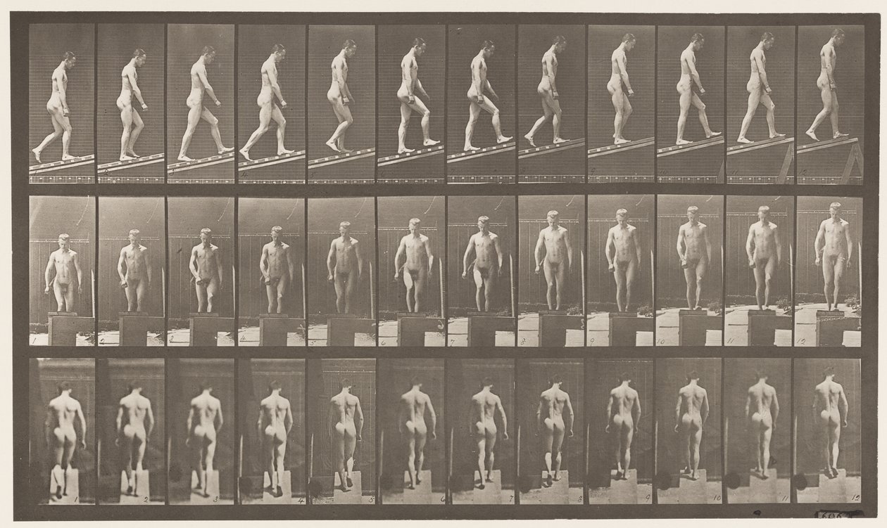 Deska 74. Vzestupný sklon, úhel 1:4 od Eadweard Muybridge