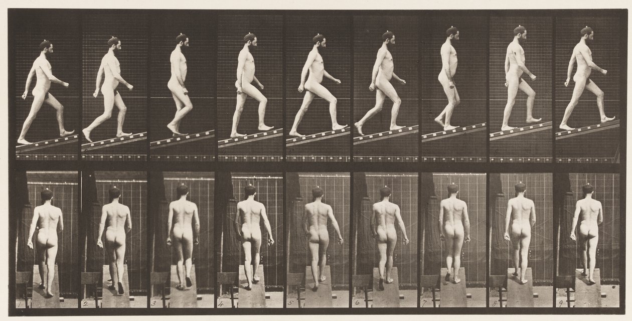 Deska 75. Ascending Incline, úhel 1:4, 1872-1885 od Eadweard Muybridge