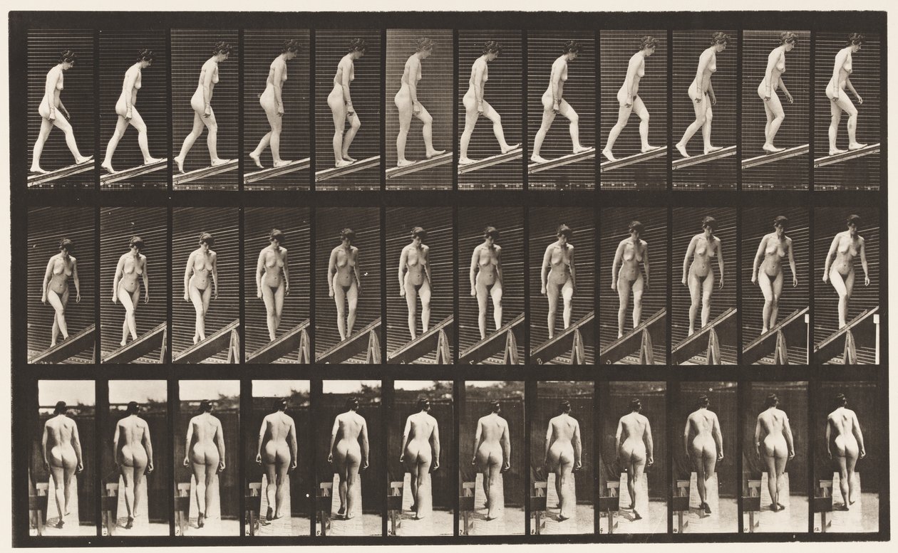 Deska 76. Vzestupný sklon od Eadweard Muybridge