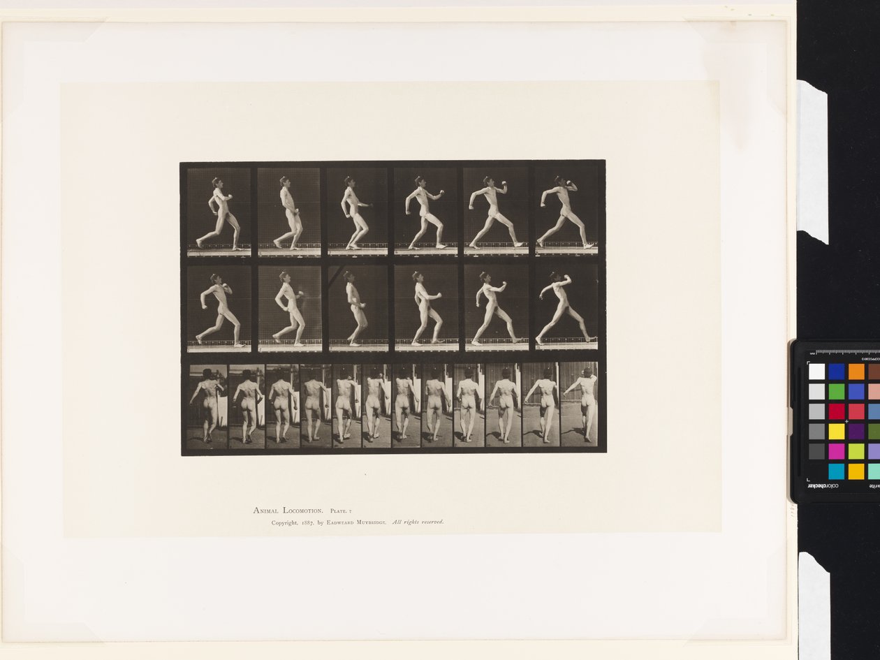 Talíř 7.Chůze od Eadweard Muybridge