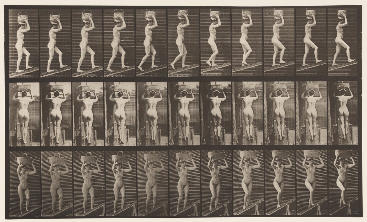 Deska 80. Vzestupný sklon od Eadweard Muybridge