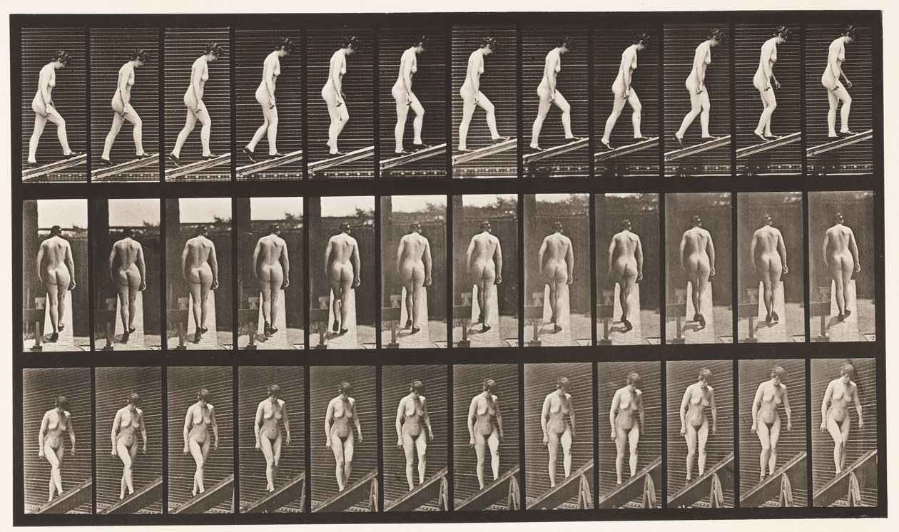Deska 85. Vzestupný sklon od Eadweard Muybridge