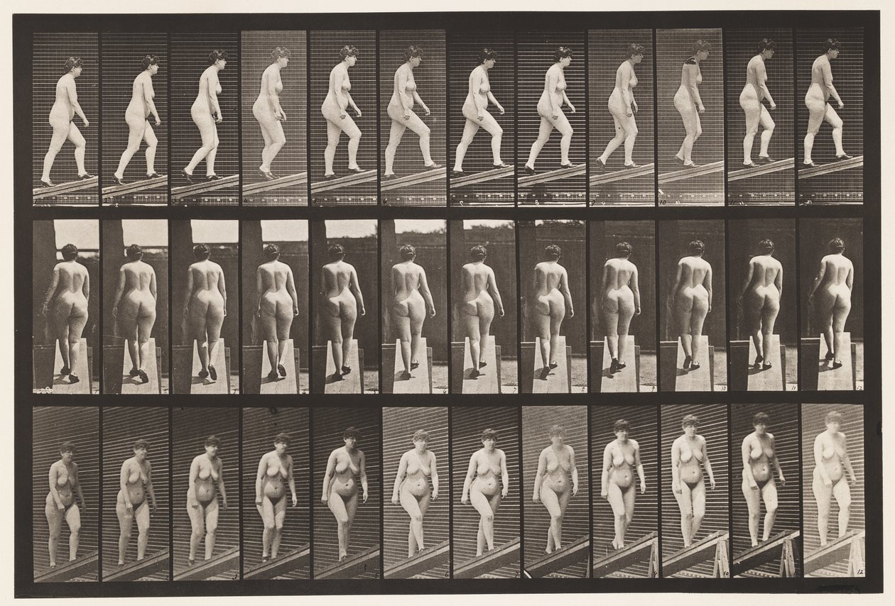 Deska 86. Vzestupný sklon od Eadweard Muybridge
