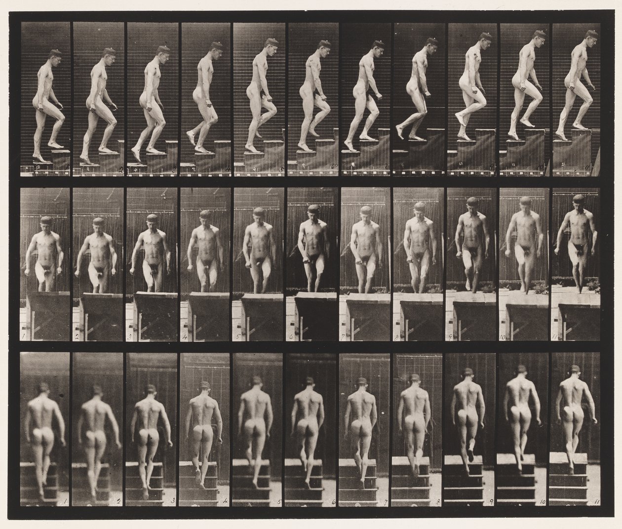 Deska 88. Vzestupné schody, 1872-1885 od Eadweard Muybridge