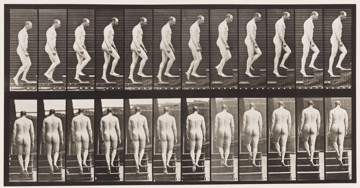 Talíř 89. Vzestupné schody od Eadweard Muybridge