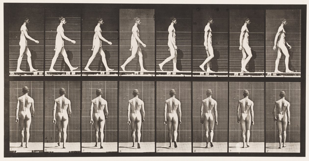 Talíř 8. Chůze od Eadweard Muybridge