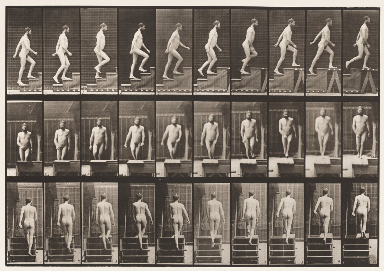 Talíř 90. Vzestupné schody od Eadweard Muybridge