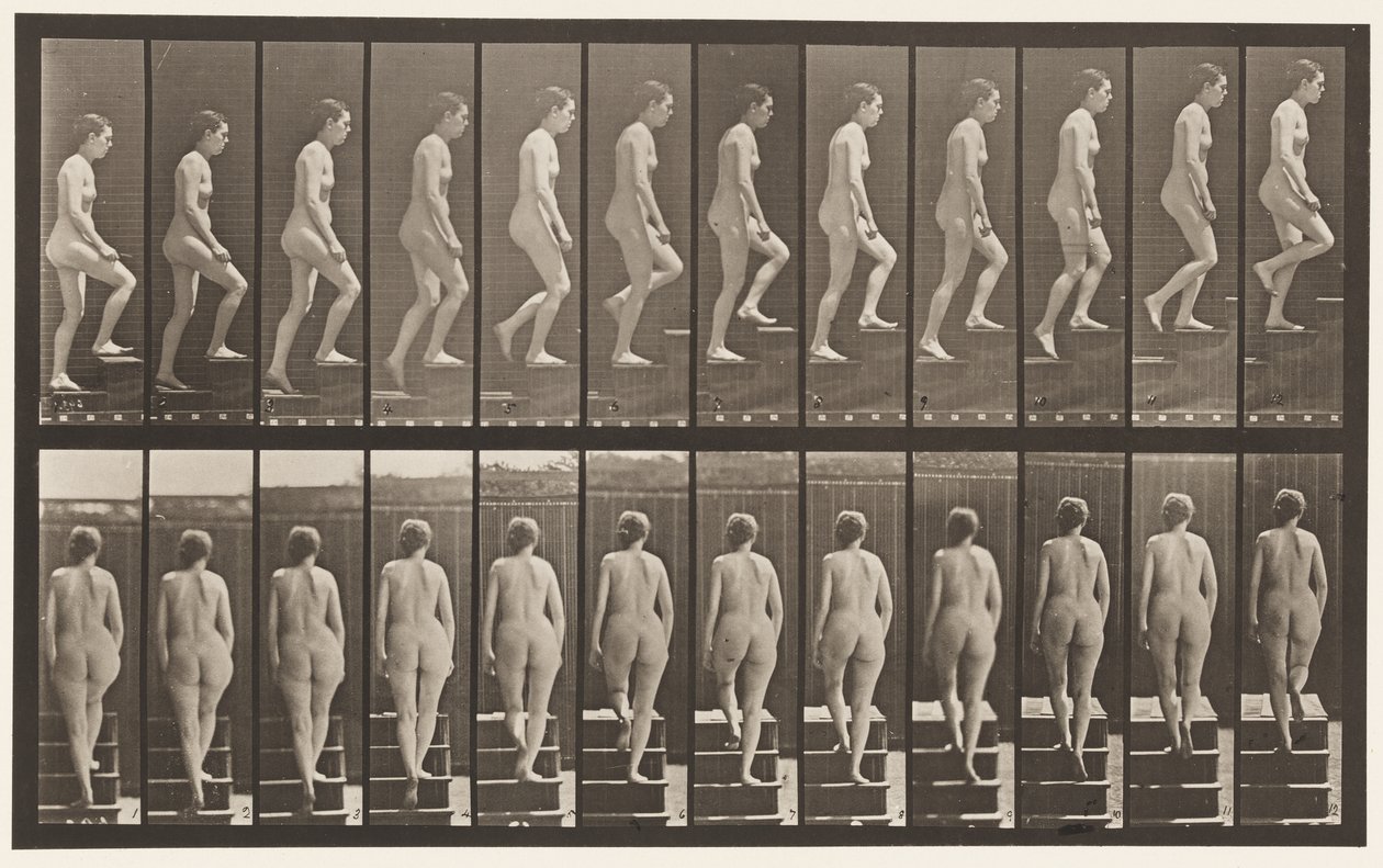 Talíř 92. Vzestupné schody od Eadweard Muybridge