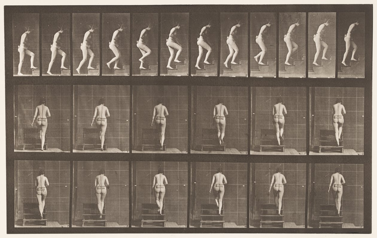Talíř 93. Vzestupné schody od Eadweard Muybridge