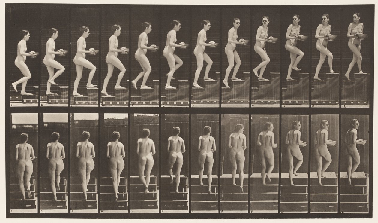 Talíř 94. Vzestupné schody Rozhlížení se; Umyvadlo v rukou od Eadweard Muybridge