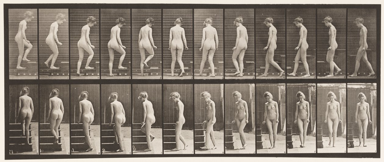 Deska 98. Otočné a stoupající schody, 1872-1885 od Eadweard Muybridge