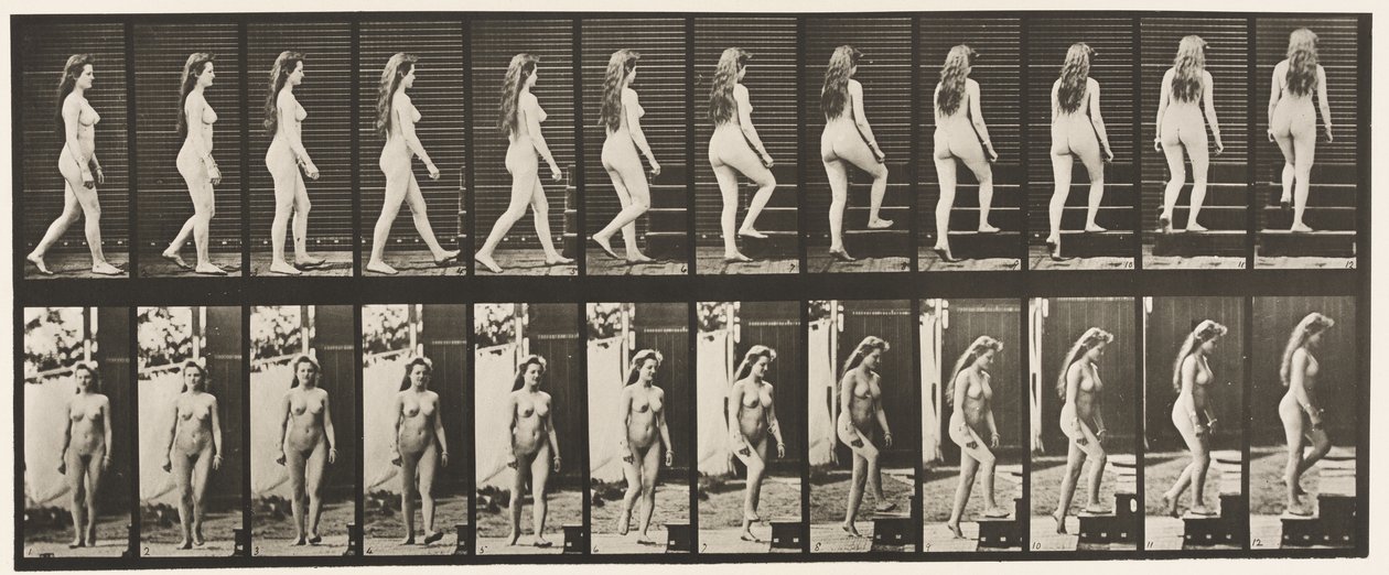Talíř 99. Otočné a stoupající schody od Eadweard Muybridge